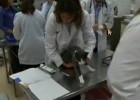 Escola de veterinària | Recurso educativo 33905