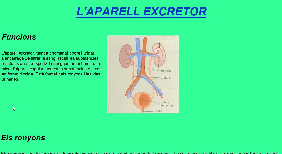 L’aparell excretor | Recurso educativo 35454