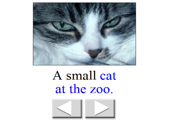 Storybook: Who's at the zoo? | Recurso educativo 37880
