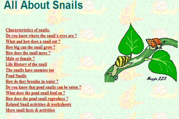 All about snails | Recurso educativo 45667