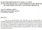 EL SECTOR SERVICIOS EN CASTILLA Y LEÓN | Recurso educativo 46863