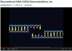 Tecnologia d'ADN recombinant | Recurso educativo 48079