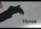 Horse idioms | Recurso educativo 54880