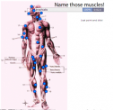 Name those muscles! | Recurso educativo 60325