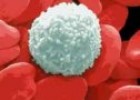 Las células de la inmunidad | Recurso educativo 61748