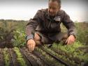 Vídeo: mètodes de preparació de la terra | Recurso educativo 10678
