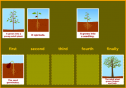 Plant life cycle | Recurso educativo 13679