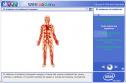 Sistema circulatorio | Recurso educativo 2508