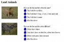 Animal comparisons | Recurso educativo 26585