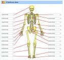 Test de el sistema óseo | Recurso educativo 28525