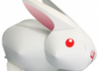 Animales: Conejo | Recurso educativo 31099