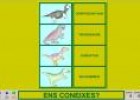 Els dinosaures | Recurso educativo 3704