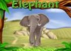 Animals zoo | Recurso educativo 61519