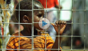 Somalia: postales del horror | Recurso educativo 72784