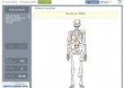 Huesos del cuerpo humano | Recurso educativo 73764