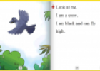 Storybook: The thirsty crow | Recurso educativo 80195