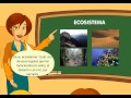 Los ecosistemas | Recurso educativo 84001
