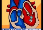 Sistema Circulatorio | Recurso educativo 111589