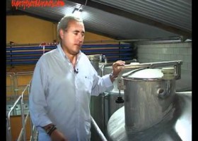 Cómo se convierte el mosto en vino: la fermentación alcohólica | Recurso educativo 403054