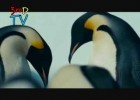 Los pinguinos del extremo sur | Recurso educativo 404392