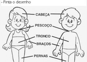 Partes do corpo humano | Recurso educativo 613214