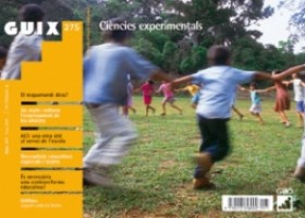 Pautes i estratègies per al desenvolupament curricular. Procediments comuns i ca | Recurso educativo 617649