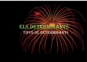 Els determinants | Recurso educativo 687581