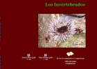 Los Invertebrados | Recurso educativo 724819
