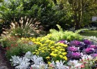 Jardín con flores | Recurso educativo 724836