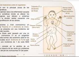 Las mutaciones: cuando la naturaleza se "equivoca" | Recurso educativo 745330