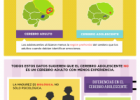 Infografía: La madurez, las emociones y el cerebro de los adolescentes | Recurso educativo 746602