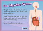 Interactive Digestive System | Recurso educativo 746703