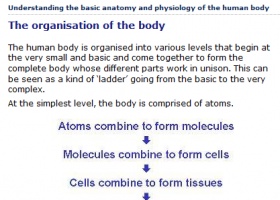 Understanding the basic anatomy and physiology of the human body | Recurso educativo 746704