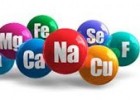 Elements químics bàsics en els éssers vius | Recurso educativo 749592