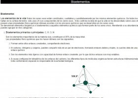 Bioelementos | Recurso educativo 755234