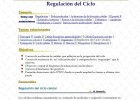 Regulación del ciclo celular | Recurso educativo 755668
