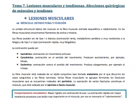 Lesiones musculares y tendinosas | Recurso educativo 756806
