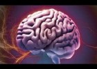 El cerebro humano: estructura y función | Recurso educativo 757006