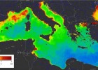 L'eutrofització | Recurso educativo 759808