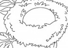 Colorear dibujos de nidos | Recurso educativo 771667