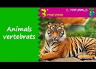 Els animals vertebrats | Recurso educativo 774649