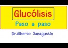 La glucòlisi | Recurso educativo 760500