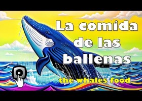 LA COMIDA DE LAS BALLENAS | Recurso educativo 7902775