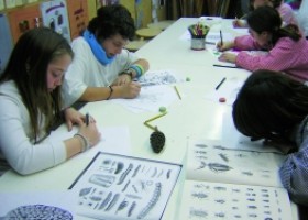 Taller de dibuix i pintura | Recurso educativo 627548