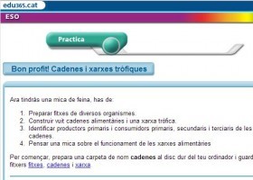 Cadenes i xarxes tròfiques. Practica | Recurso educativo 676031