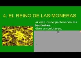 Los cinco reinos | Recurso educativo 688737