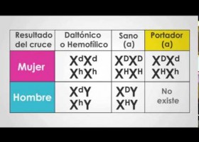 Biología estudio de cromosomas, herencia No mendeliana | Recurso educativo 742424