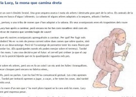 La història de la Lucy, la mona que camina dreta | Recurso educativo 750134