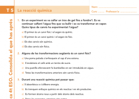 La reacció química | Recurso educativo 744557